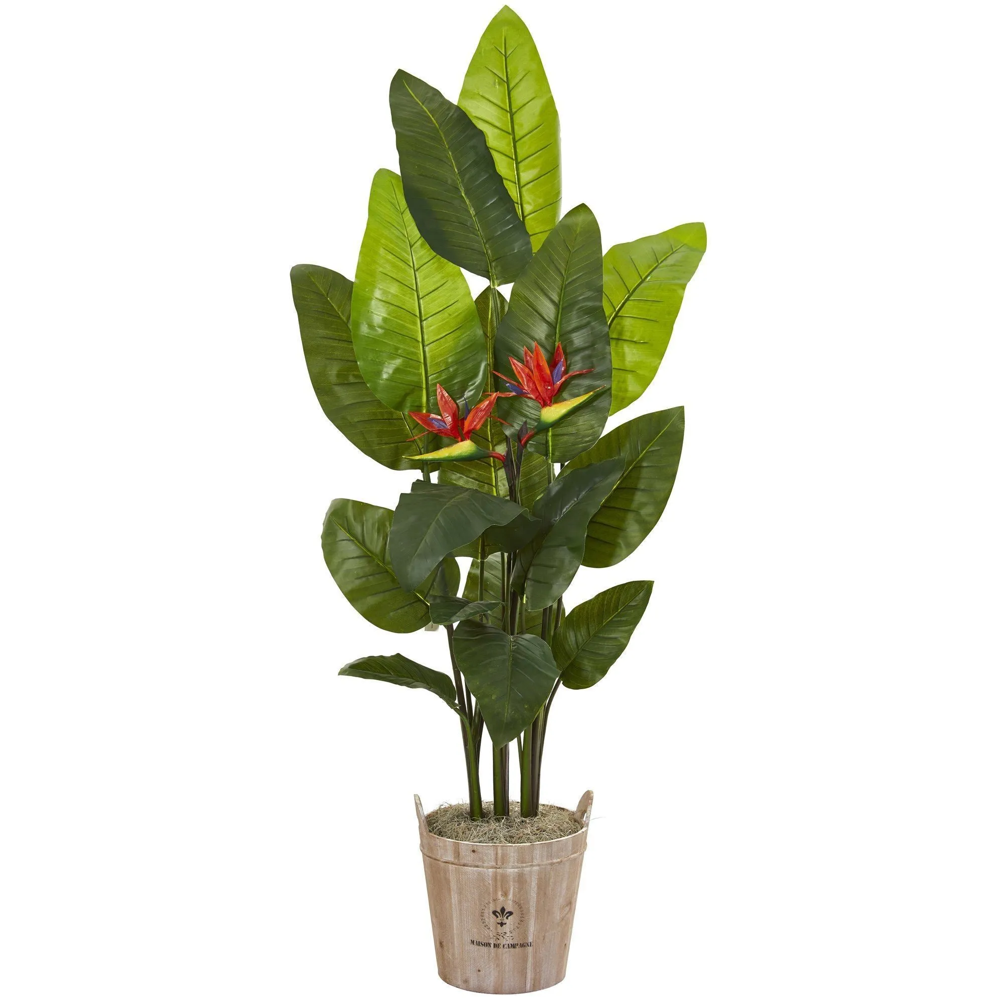 6’ Bird of Paradise Artificial Plant in Farmhouse Planter (Real Touch)