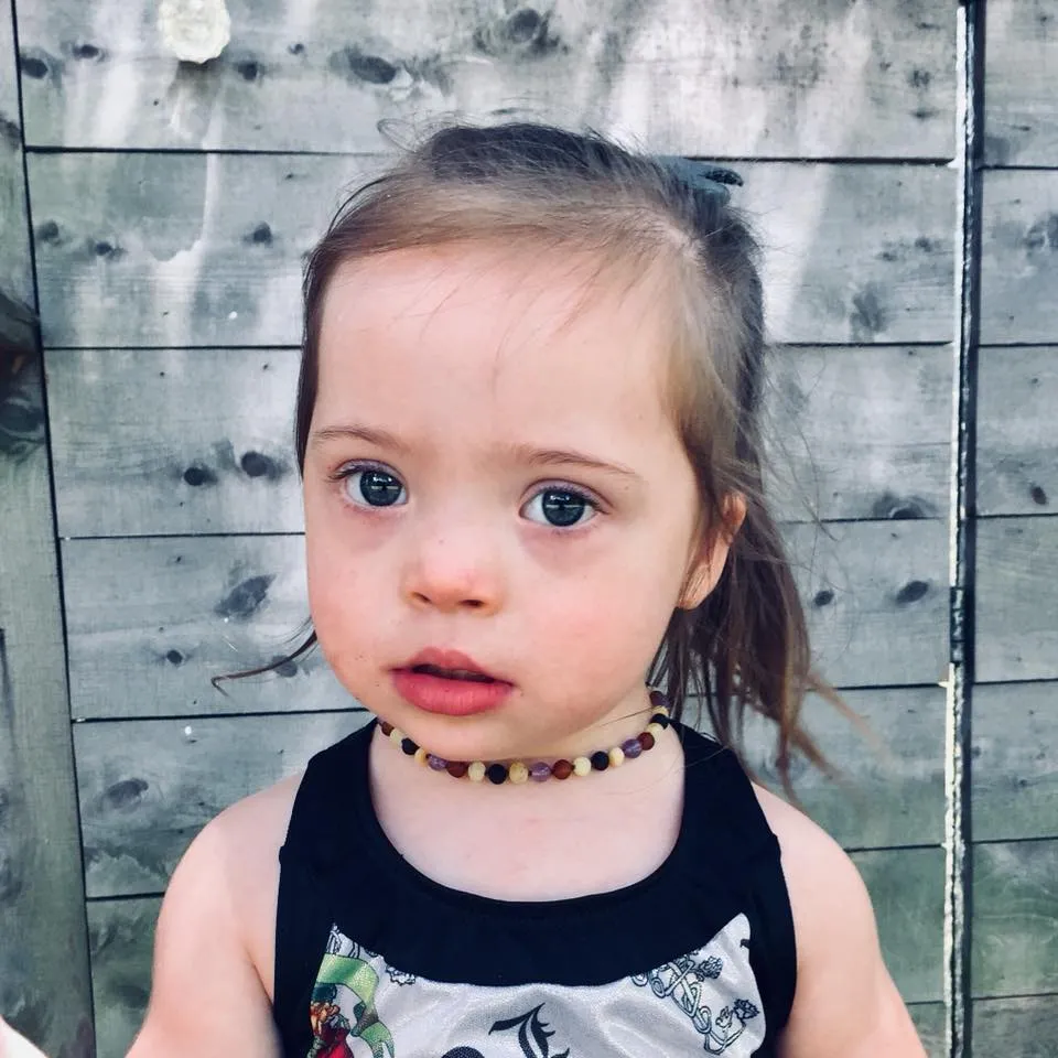 Amethyst and Honey, Black, and Buttermilk Baltic Amber Necklace