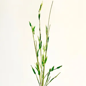 Bamboo Palm Stem