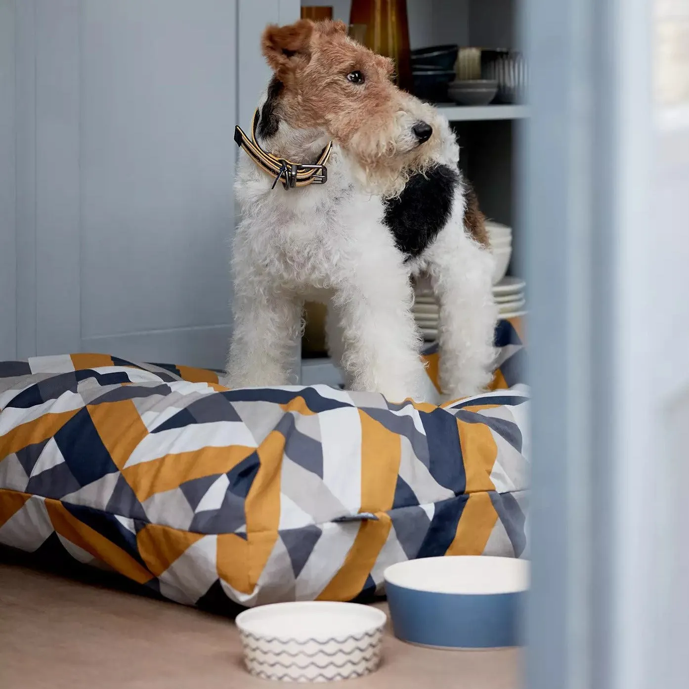 Beco Printed Dog Food Bowl