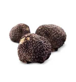 Black Truffle Fragrance Oil