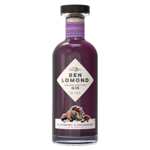 Blackberry & Gooseberry Gin