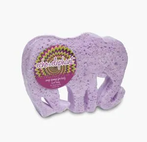 Caren | Kool Kidz Sponges