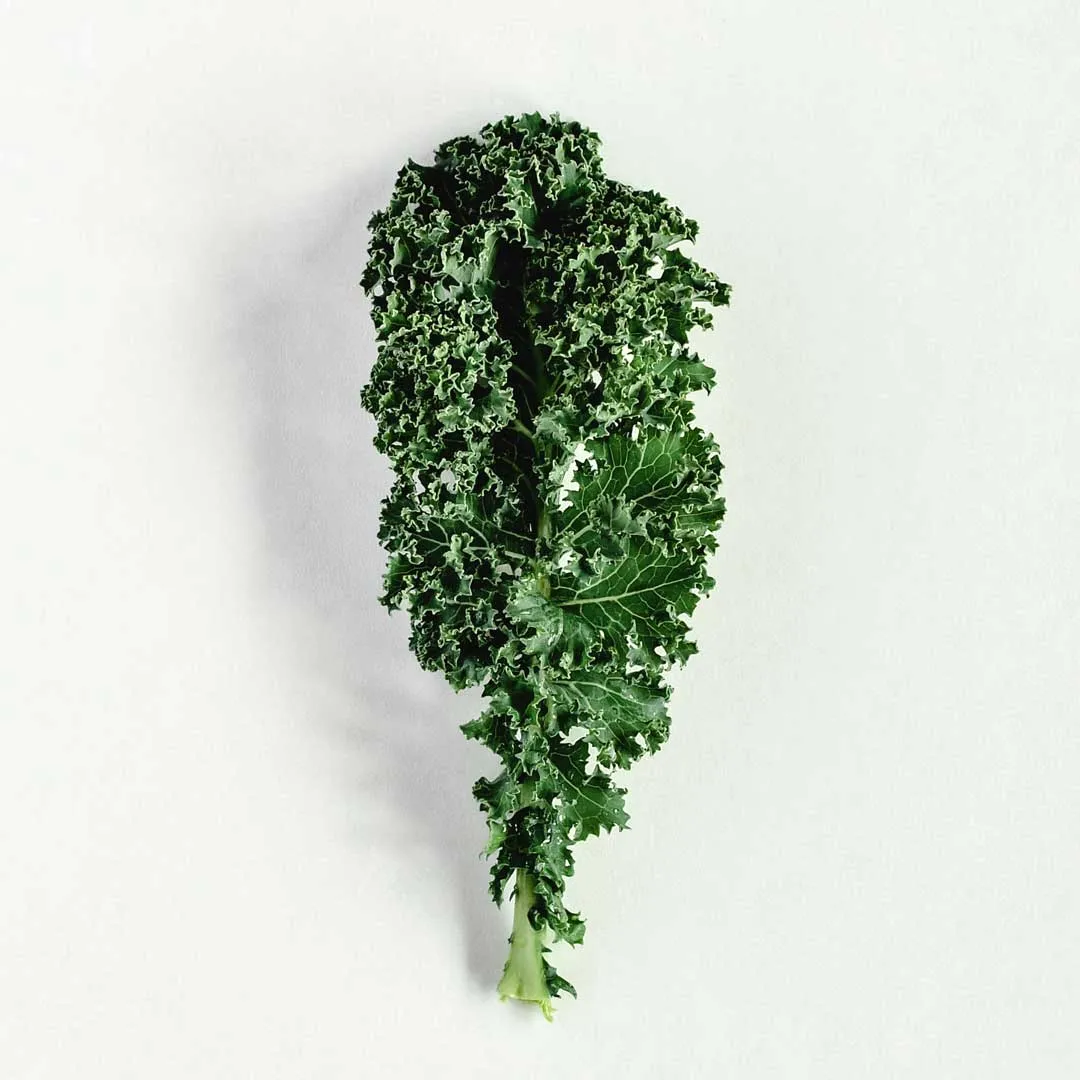 Certified Organic Green Kale (Each)
