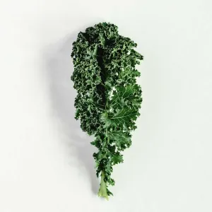 Certified Organic Green Kale (Each)