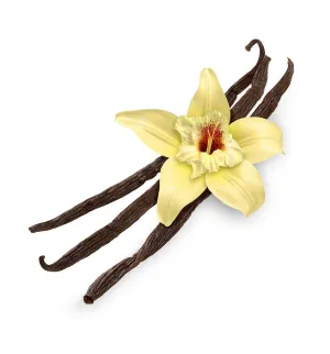 Classic Vanilla Fragrance Oil