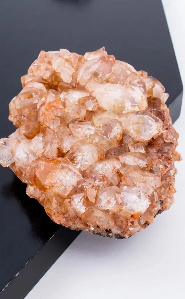 Dark Limonite Quartz Cluster