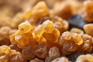 Frankincense Fragrance Oil