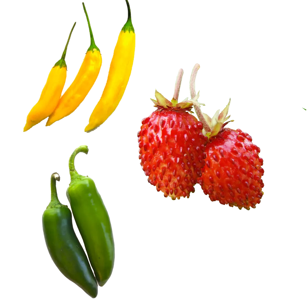 Sweet and Spicy Variety Pack