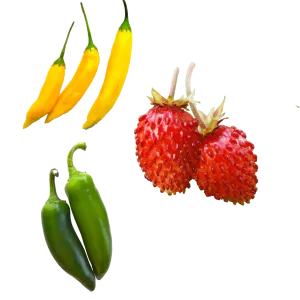 Sweet and Spicy Variety Pack