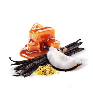 Vanilla Caramel Fragrance Oil